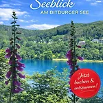 Seeblick Бирсдорф