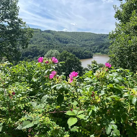 Seeblick Biersdorf am See