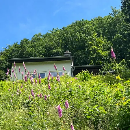 Prázdninový dům Seeblick