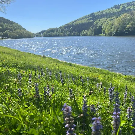 Дом отдыха Seeblick *